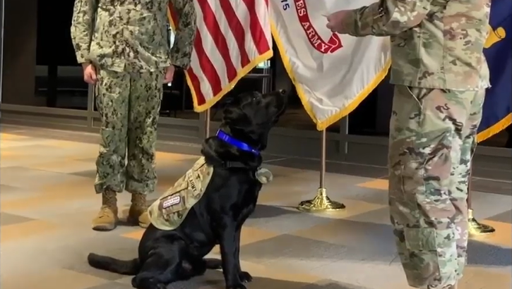 What are facility dogs? The Uniformed Services University is the only medical school in the country that has facility dogs to serve their medical students and staff.