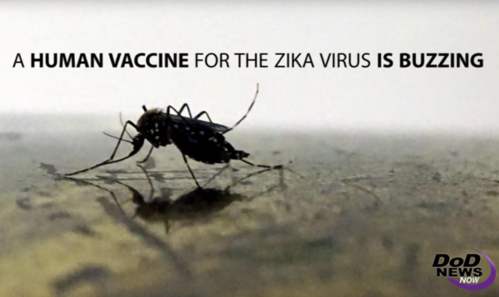 Scientists at the Walter Reed Army Institute of Research in Silver Spring, Maryland, have developed a vaccine for the Zika virus. They received a strain of the virus from Puerto Rico in November 2015, and have since created a purified inactivated virus, like the flu shot. The vaccine is called ZPIV, and so far, it looks promising that military medical research will be a key contributor to preventing the continued spread of the Zika virus.