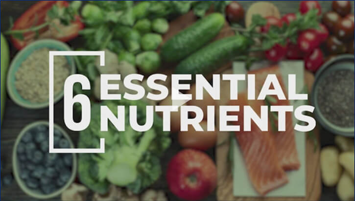 Links to 6 Essential Nutrients